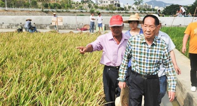 杂交水稻之父袁隆平，88岁再创奇迹