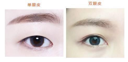  看着你：美丽的眼睛会说话，你知道自己属于哪种眼睛呢？