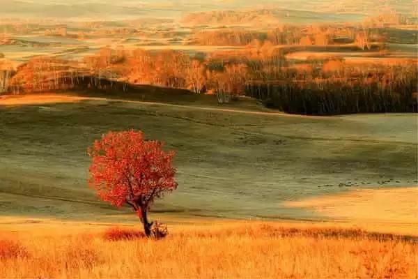 9月开始，这12个地方不可错过!