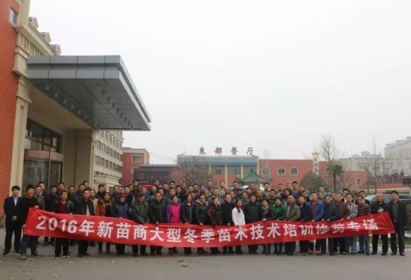庭院深深，中式庭院 · 怡然自得