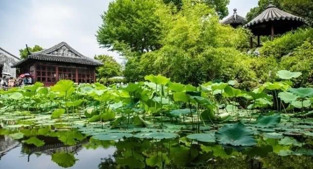 全球首个“世界遗产典范城市”，漫步百年古典园林，今朝更好看