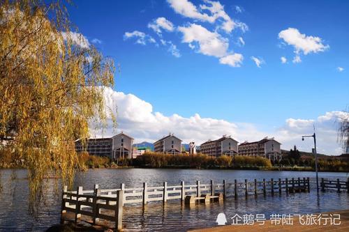 冬日里来一次说走就走的肆意温暖-昆明