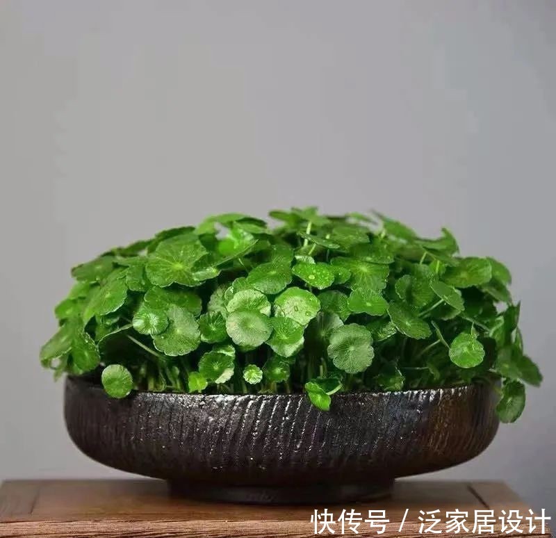 #春天#想要小钱变大钱,少钱变多钱,你一定要get的几个技巧