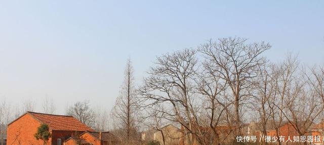 好消息！国家将统一规划农村建房，以后农民不用盖房了！