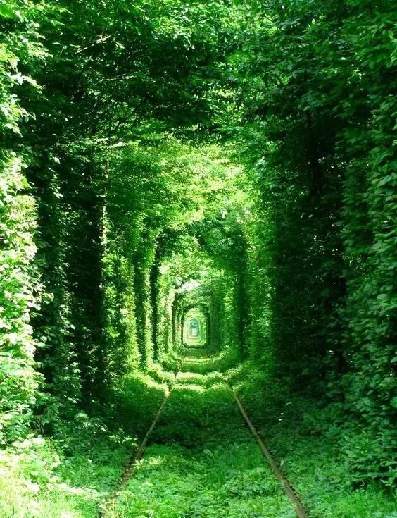 绝世照片，轰动世界