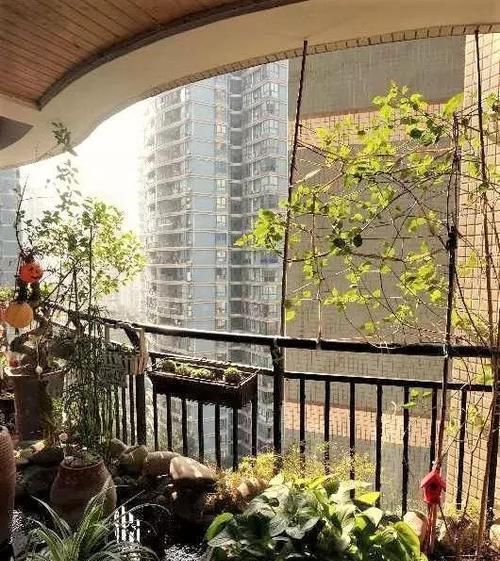  『回家』别人家的阳台好美，跟花艺师学了5种阳台种花的方法，回家搞起来