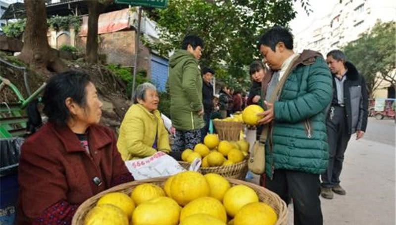  【红柚】价格年年跌，有人改新品种，一斤4元不愁卖，农民：种了