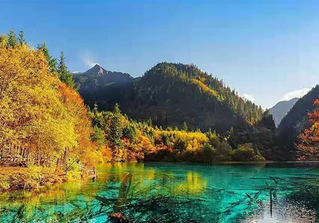 中国秋景最美的地方：很多人只知道它的春夏，却忽略了它的秋冬