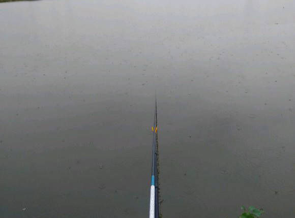  【厨艺】让你们很烦的这种小鱼，却是我最爱钓的，谁让我有一身好厨艺呢！