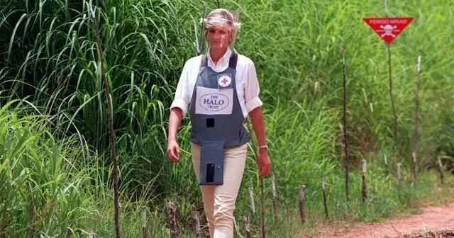 世上的繁星众多，却只有一个戴安娜王妃