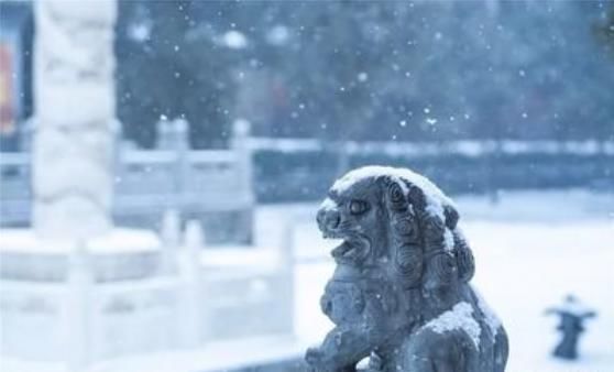 河南这三个地方 下雪了！是你的家乡吗？