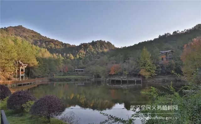 远离城市喧嚣！这个男人在黄陂建了座花海庄园，堪比“世外桃源”