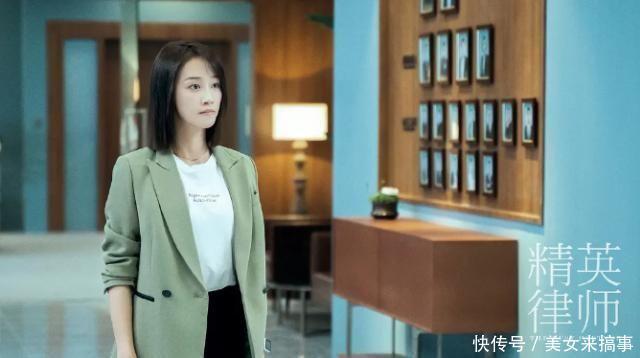 靳东精英律师演员