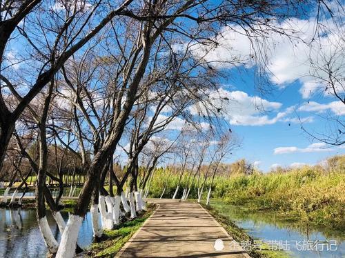 冬日里来一次说走就走的肆意温暖-昆明