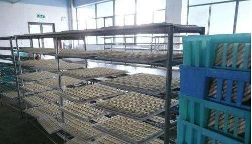  「加工厂」想在农村老家做一个中小型加工厂，大家有没有靠谱的