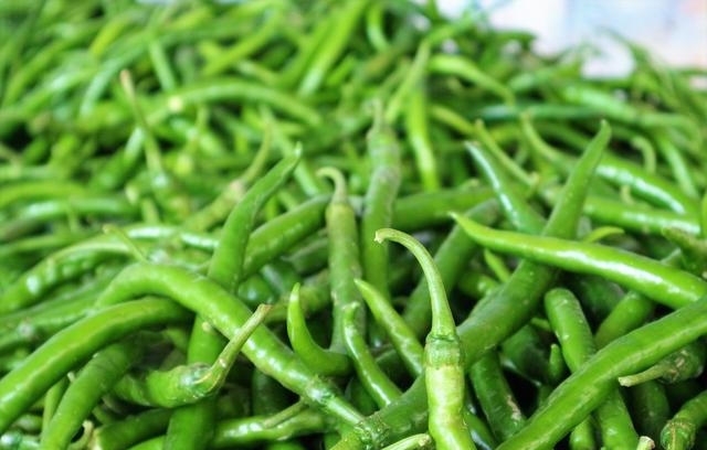  [蔬菜]农民种植一种“最赚钱的蔬菜”，辣味十足，2亩收入20000