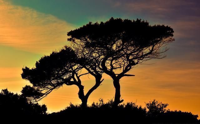 这5条摄影技巧，可让被拍摄主体更突出，你知道吗？