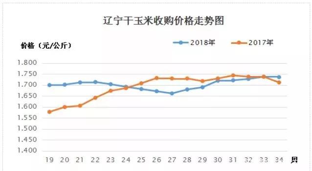 玉米价格涨不停,未来几天啥行情?一看便知!