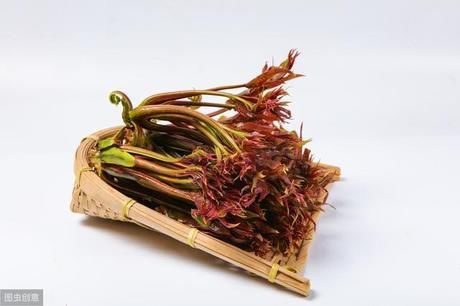  挑选■买香椿芽时，选紫香椿还是绿香椿？不会挑选的，学学种植户的方法