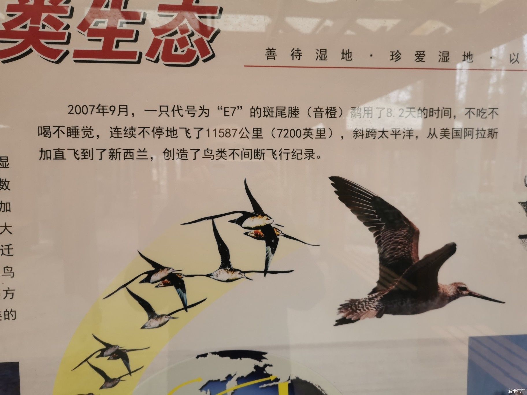 春晚歌曲母亲河