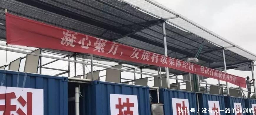 厉害了, 养鱼不用鱼塘而是用集装箱, 效益是普通鱼塘的3倍