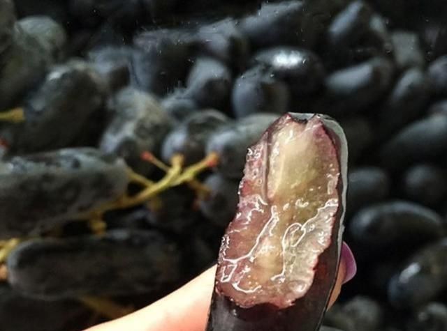  「水果」此果树，有院子的家庭一定要种2棵，不仅结果量大，还非常的好吃