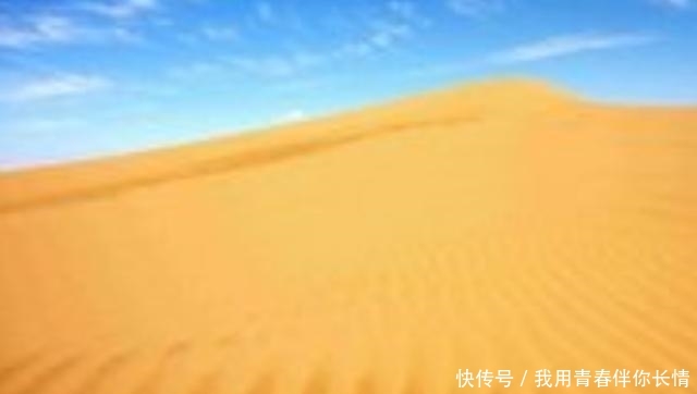 科学家为什么阻止人们把沙漠变成森林？变成森林不是更好吗？可算