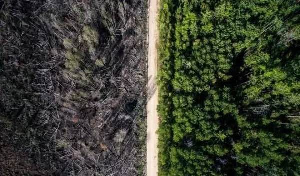 没有PS我怀疑我看了张假照片，那些年让人惊叹的真是照片