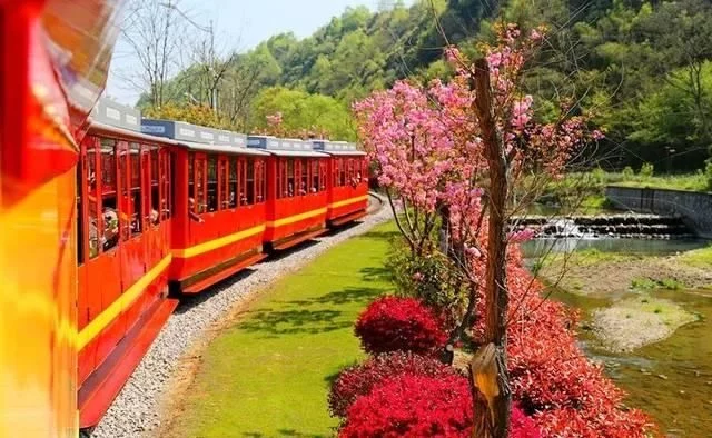春天深呼吸,安吉来“氧”你!2020年三八女神节,可以来安吉旅游啦【2020热门旅游景点】