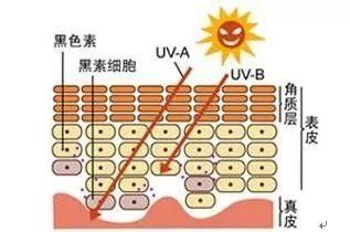 36岁元气少女宣布当妈!天啊她到底什么时候才会老啊!