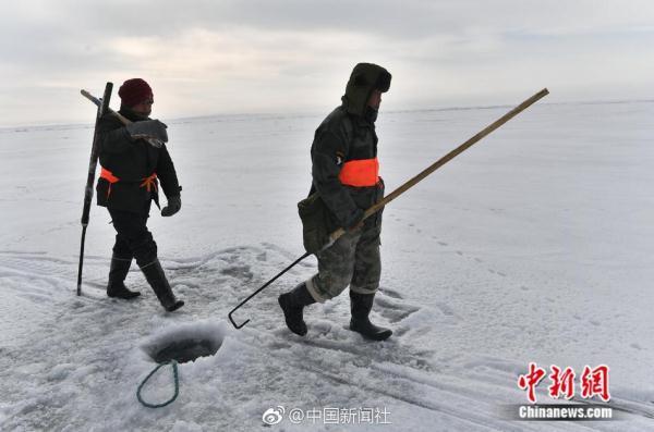 凿冰开眼踏雪寻鱼！新疆乌伦古湖冬季大拉网捕鱼场面壮观
