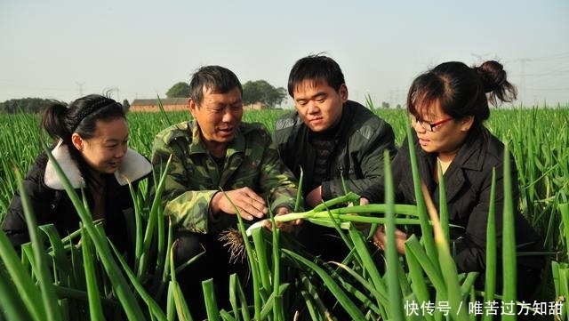  【职务】取消村长职务！全国农村迎来新的“一把手”：第一书记