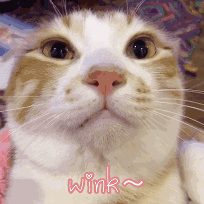 均价20块！史上最好用的平价彩妆全在这了！