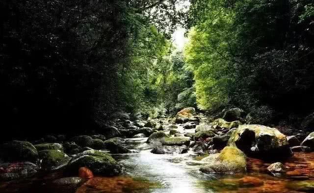 广西周末自驾游路线，一路惊喜，一路美景，体验夏天最美的样子！
