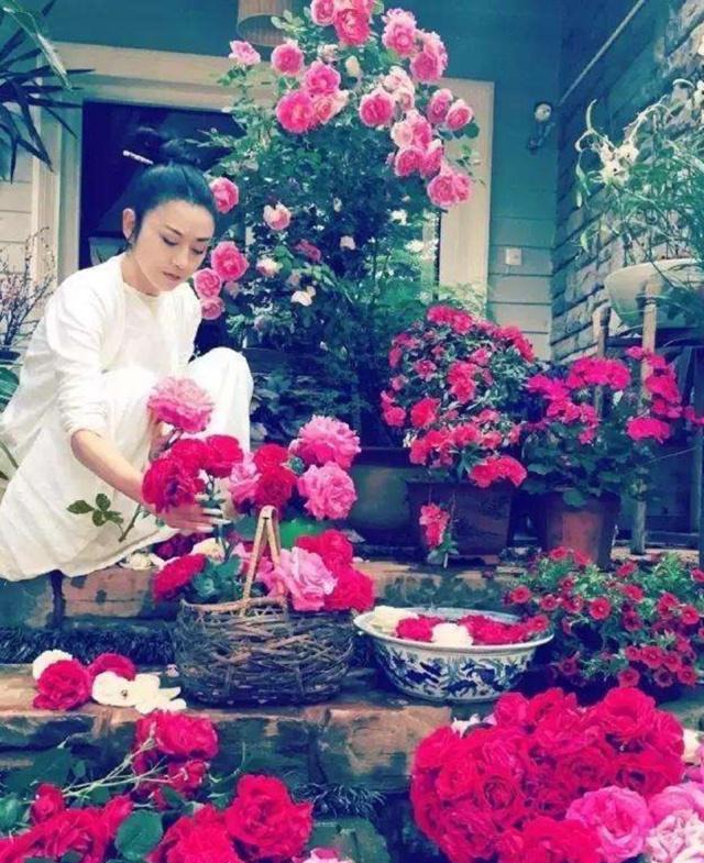 杨丽萍的“宫殿”有多美？到处鸟语花香，仿佛人间仙境！