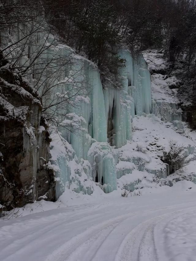 初冬已至，降温来袭 | 陕西这些地方已经下雪啦！想看雪景的走起