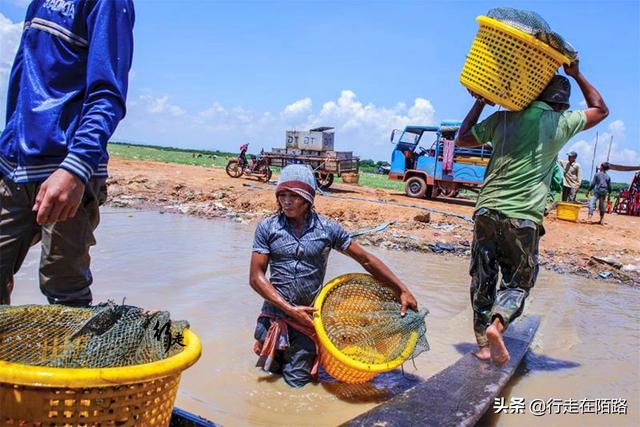 全球最长手工桥：每年3月建9月拆，一天能收200万过桥费