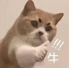  qt:levelM：看完心动的2020TGC，原来日本模特们还在流行红茶拿铁妆
