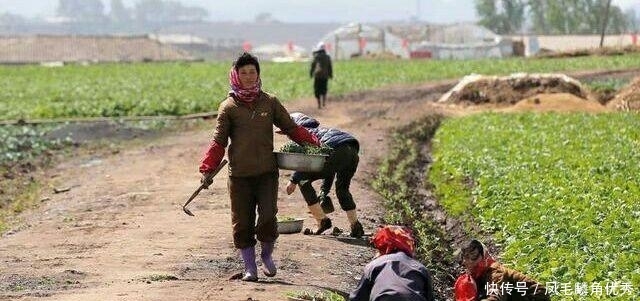  「真实」直击真实的朝鲜农村, 朝鲜女人付出可真多