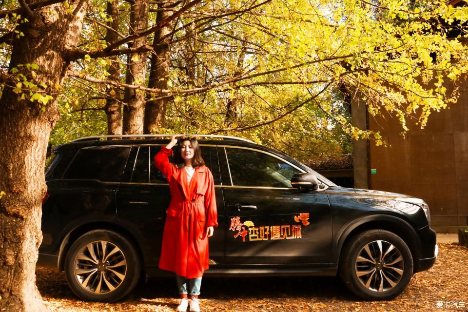 固东银杏村的黄色攻略