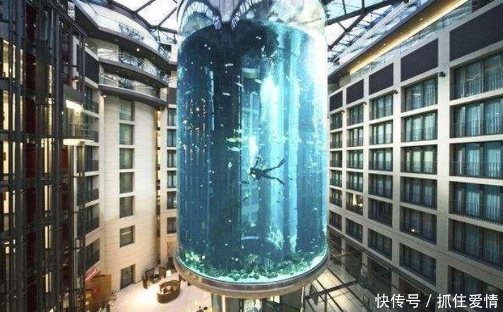 世界上最大的鱼缸:耗资1亿、有8层楼高,竟被放在酒店中!