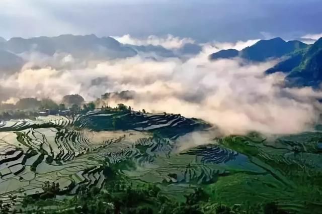 藏在火炉重庆的凉都秘境，坐拥8大清凉耍处，气温不超25℃！