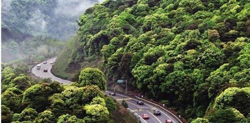 隐藏于浙江深处的三条自驾公路，景色最美