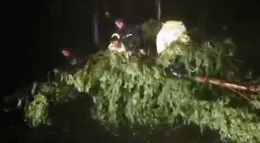 紧急扩散！台风提前袭山东！潍坊发布台风蓝色预警！暴雨、大暴雨