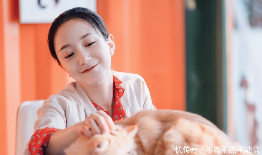 电影宠爱的票房现在是多少