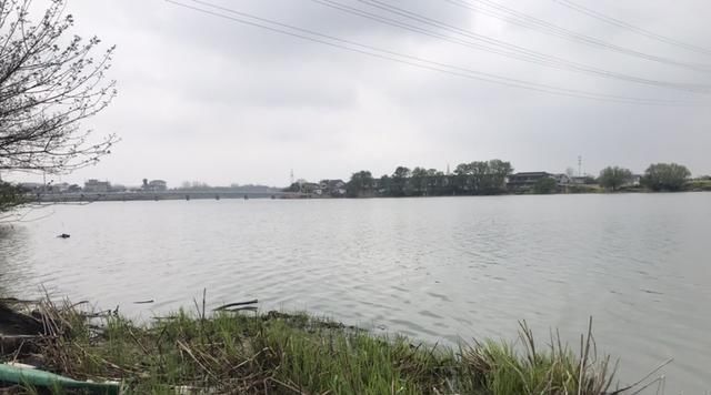  「没想到」首战壁虎河，没想到几条小鲫，钓出了新高度
