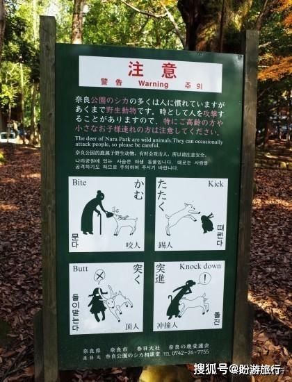  「祈福的灯笼」DAY2日本深度自由行之大阪都门奈良城崎旅行日记