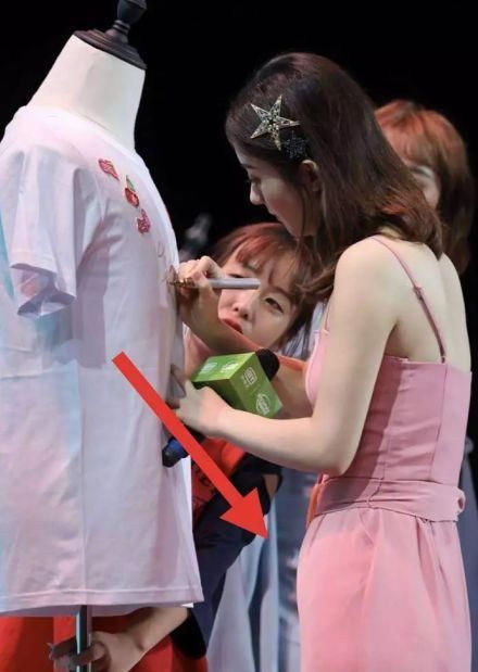 赵丽颖力破谣言?网友却拍到不一样的画面,爱犬还被寄养给朋友!