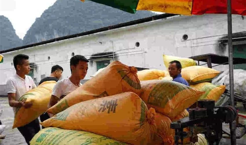  [补贴]在农村有地，为啥拿不到粮食补贴，这钱该归谁所有？