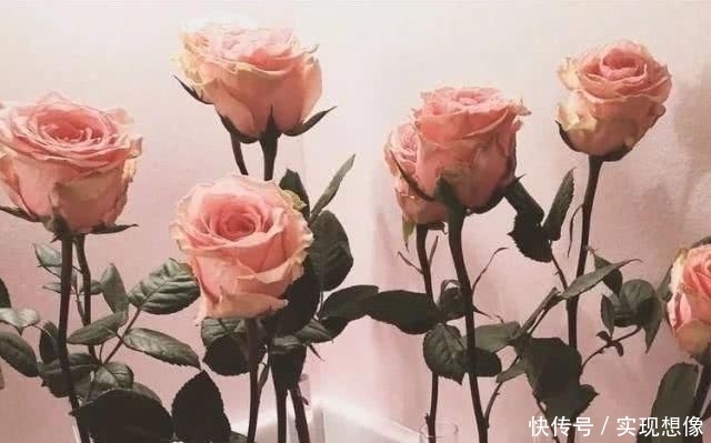 秀智@看了秀智的早春玫瑰妆,又想初恋了
